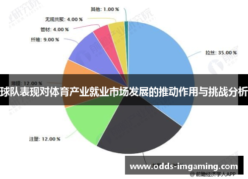 球队表现对体育产业就业市场发展的推动作用与挑战分析