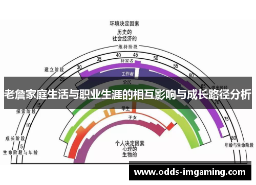 老詹家庭生活与职业生涯的相互影响与成长路径分析