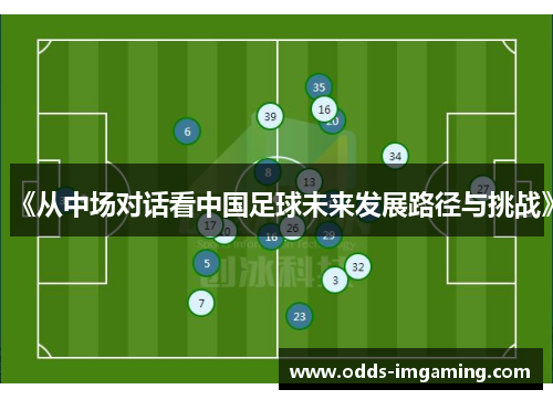 《从中场对话看中国足球未来发展路径与挑战》