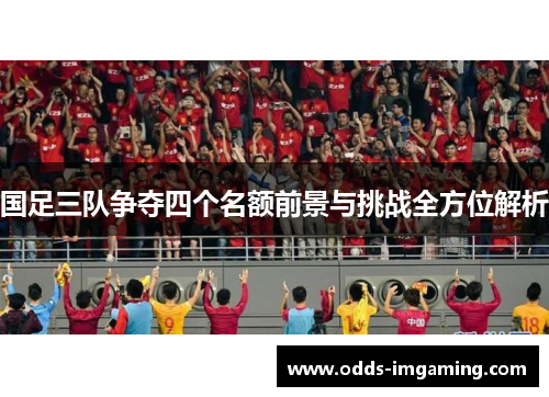 国足三队争夺四个名额前景与挑战全方位解析