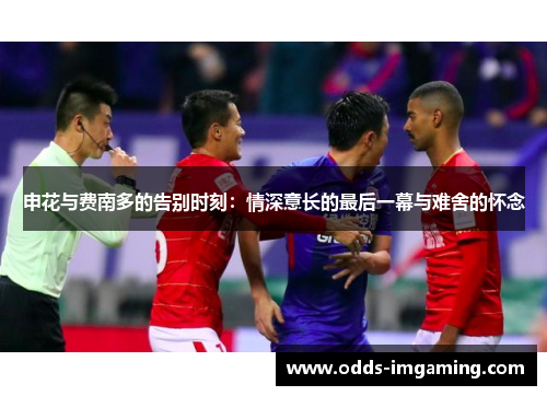 申花与费南多的告别时刻：情深意长的最后一幕与难舍的怀念