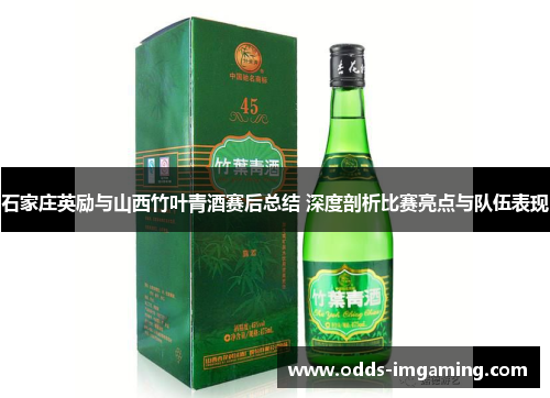 石家庄英励与山西竹叶青酒赛后总结 深度剖析比赛亮点与队伍表现