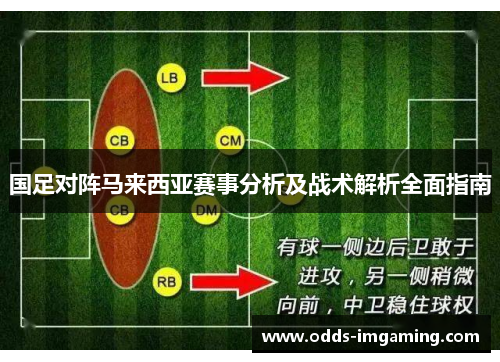国足对阵马来西亚赛事分析及战术解析全面指南