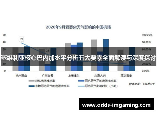 塞维利亚核心巴内加水平分析五大要素全面解读与深度探讨