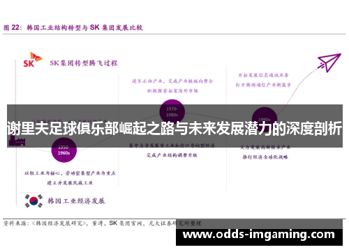 谢里夫足球俱乐部崛起之路与未来发展潜力的深度剖析