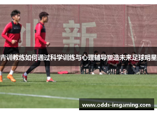 青训教练如何通过科学训练与心理辅导塑造未来足球明星